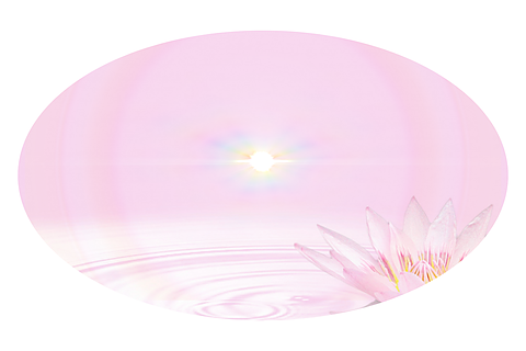 蓮の花と光の画像